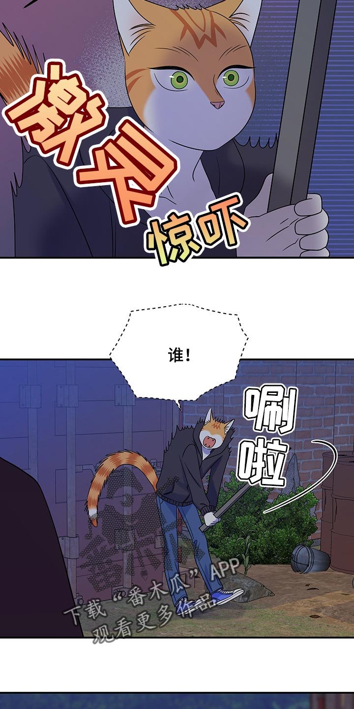 第34章：一个人很危险