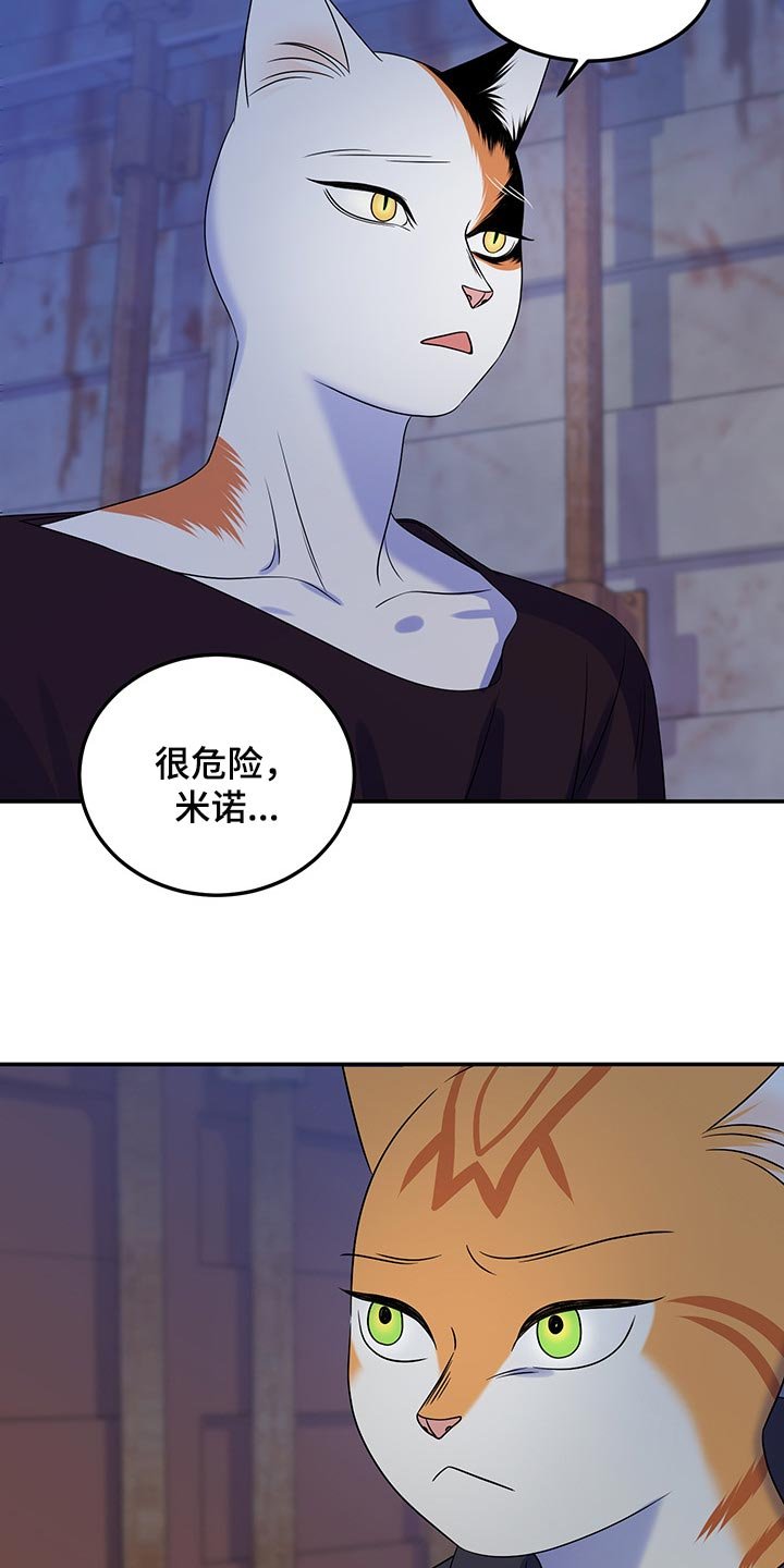 第34章：一个人很危险