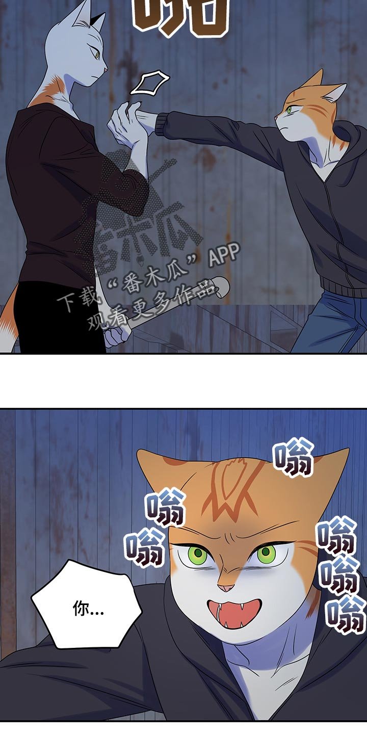 第35章：道歉