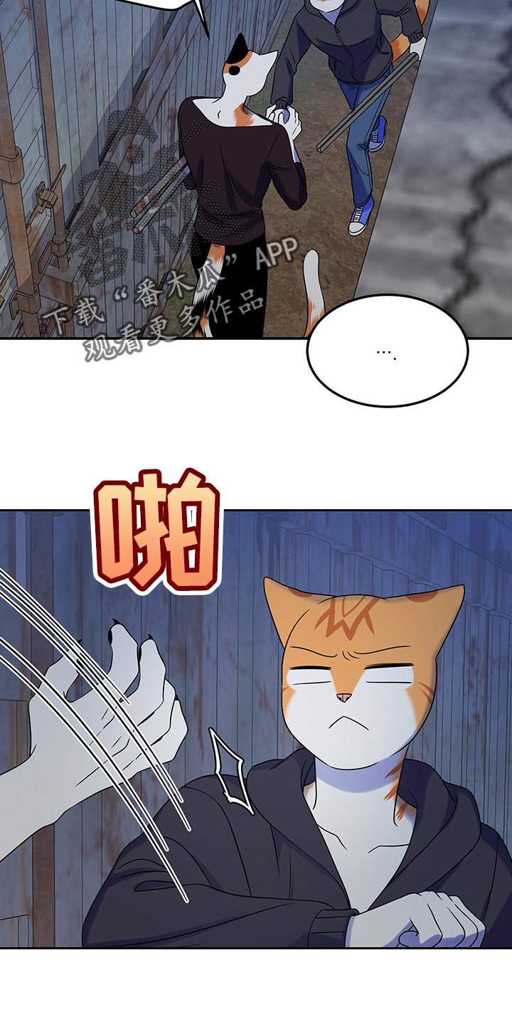 第35章：道歉