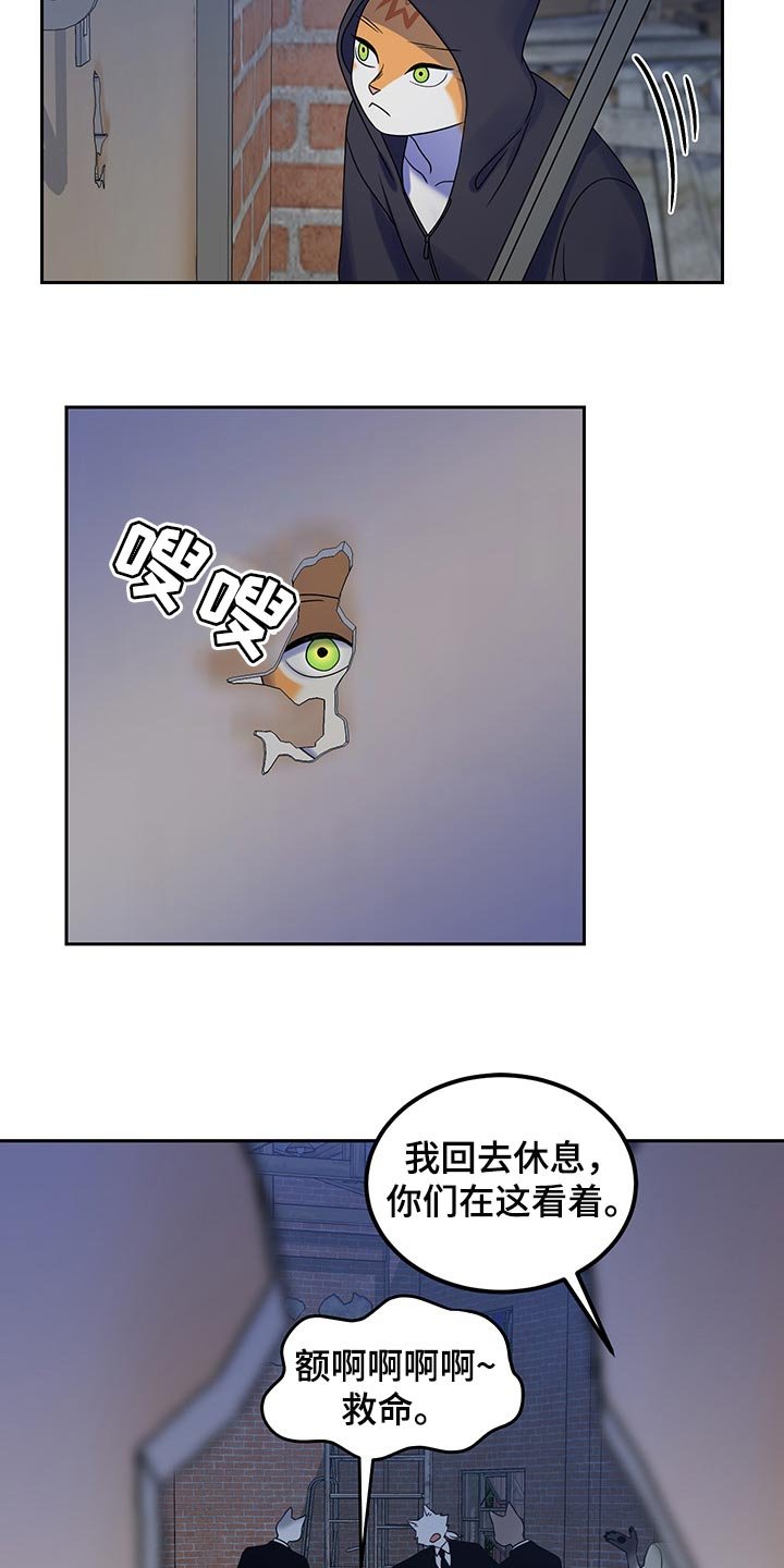 第35章：道歉