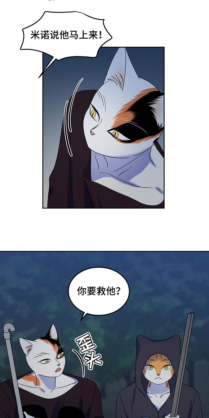 第35章：道歉