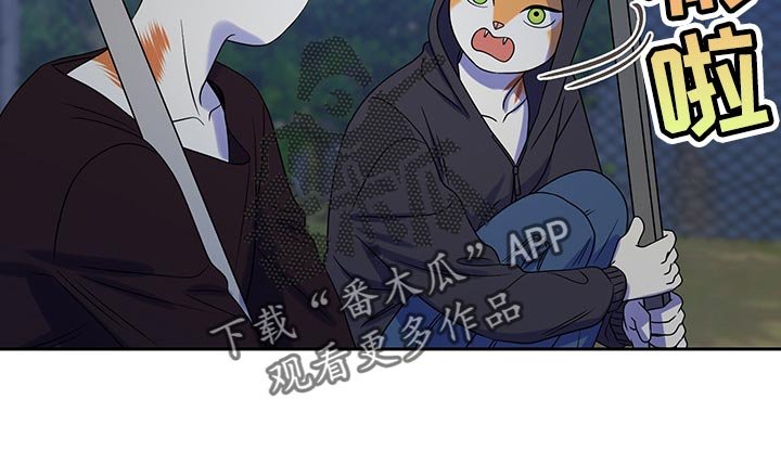 第35章：道歉