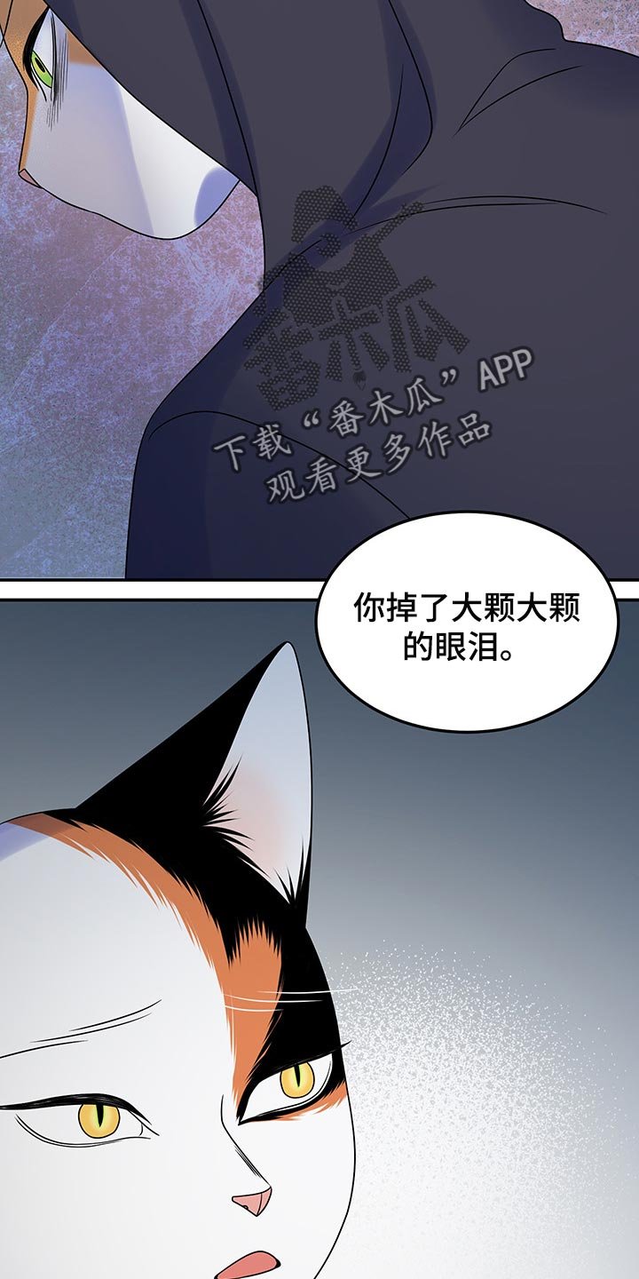 第35章：道歉