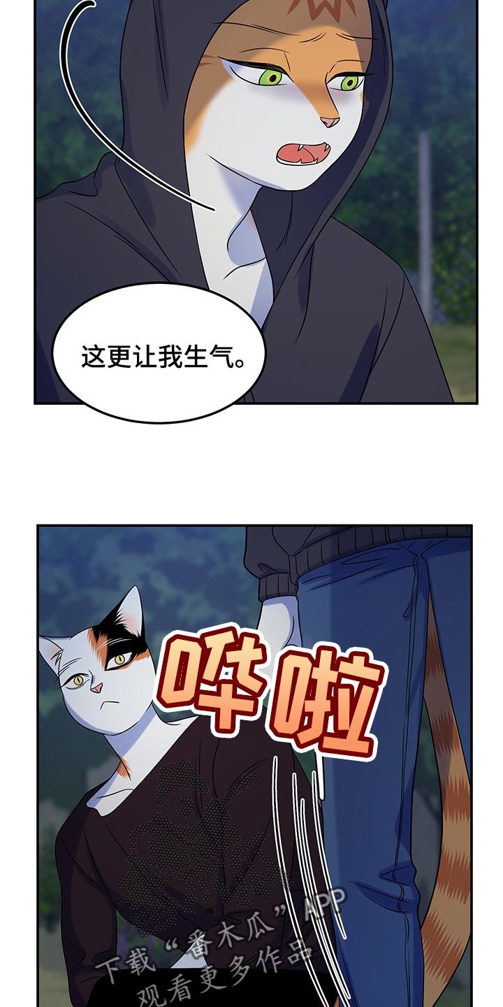 第35章：道歉