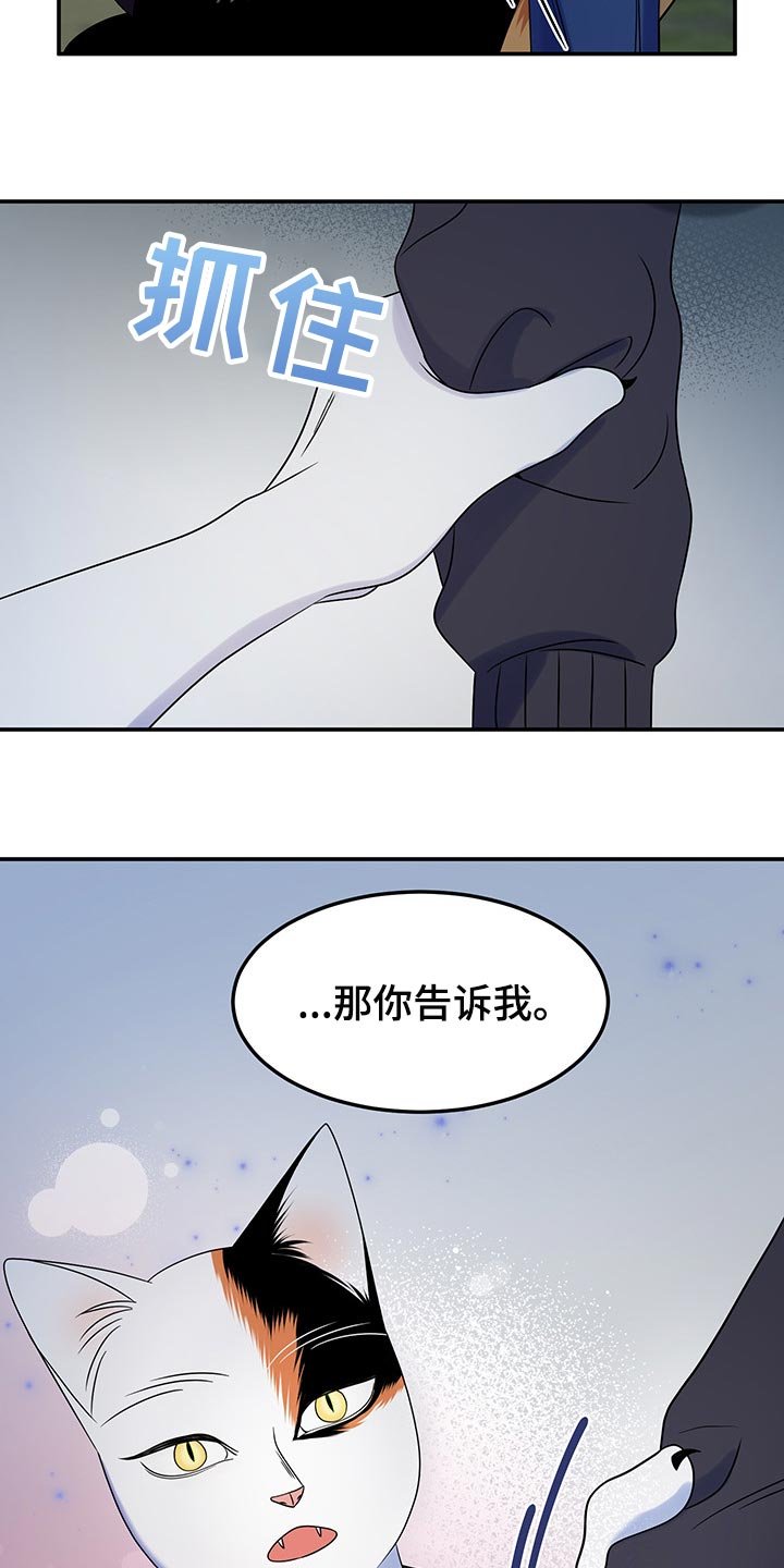 第35章：道歉