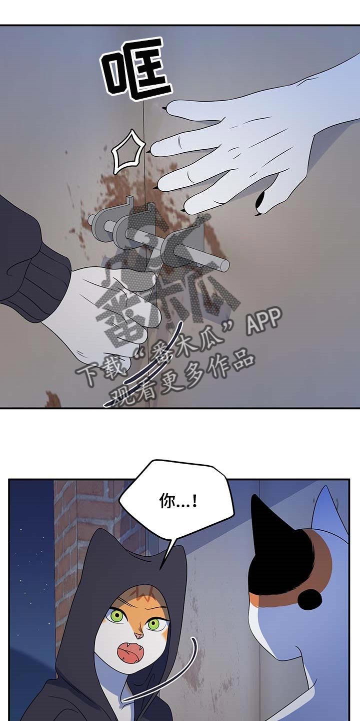 第36章：我很强的
