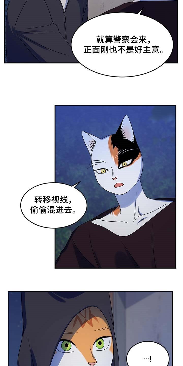 第36章：我很强的
