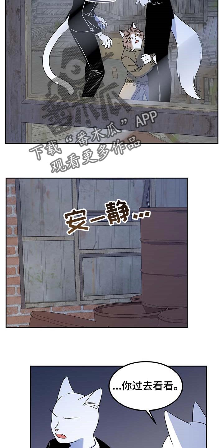 第36章：我很强的