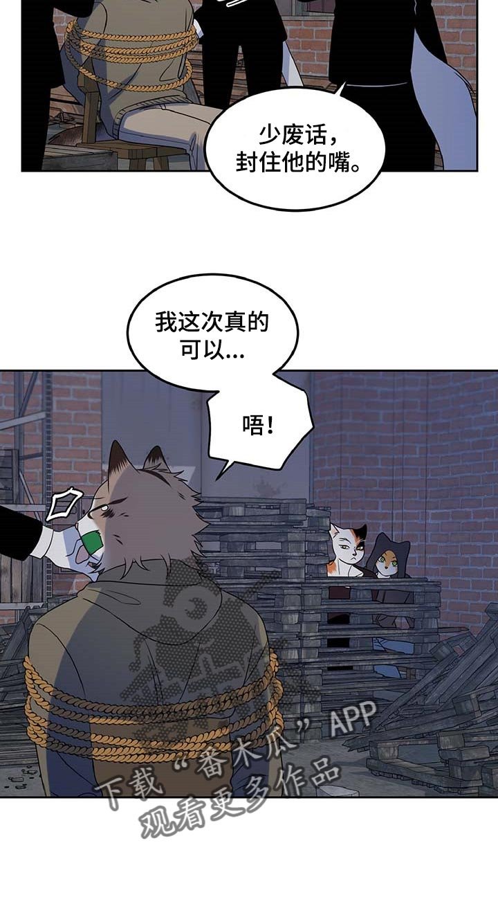 第36章：我很强的