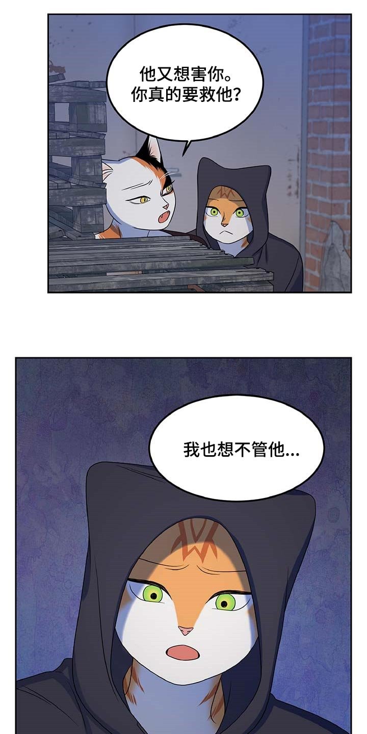 第36章：我很强的