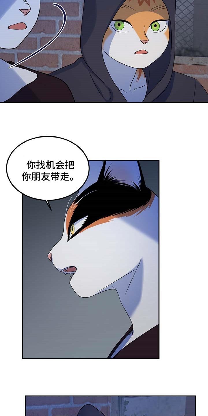 第36章：我很强的