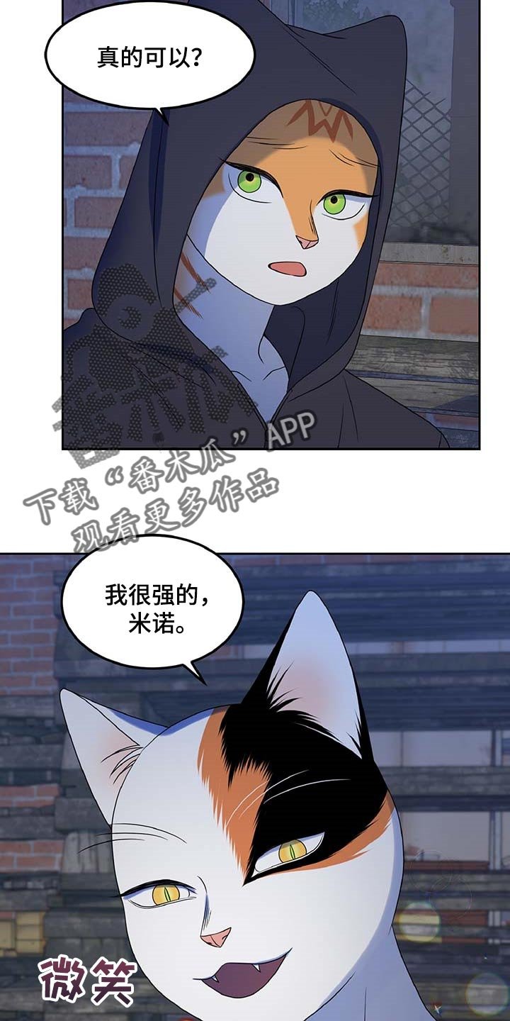 第36章：我很强的