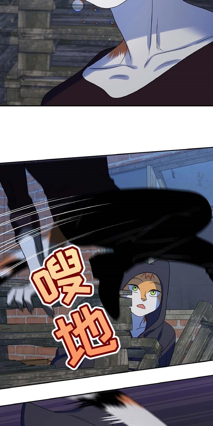 第36章：我很强的