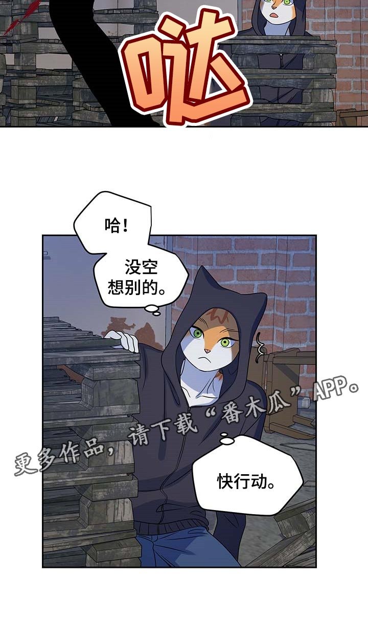 第36章：我很强的