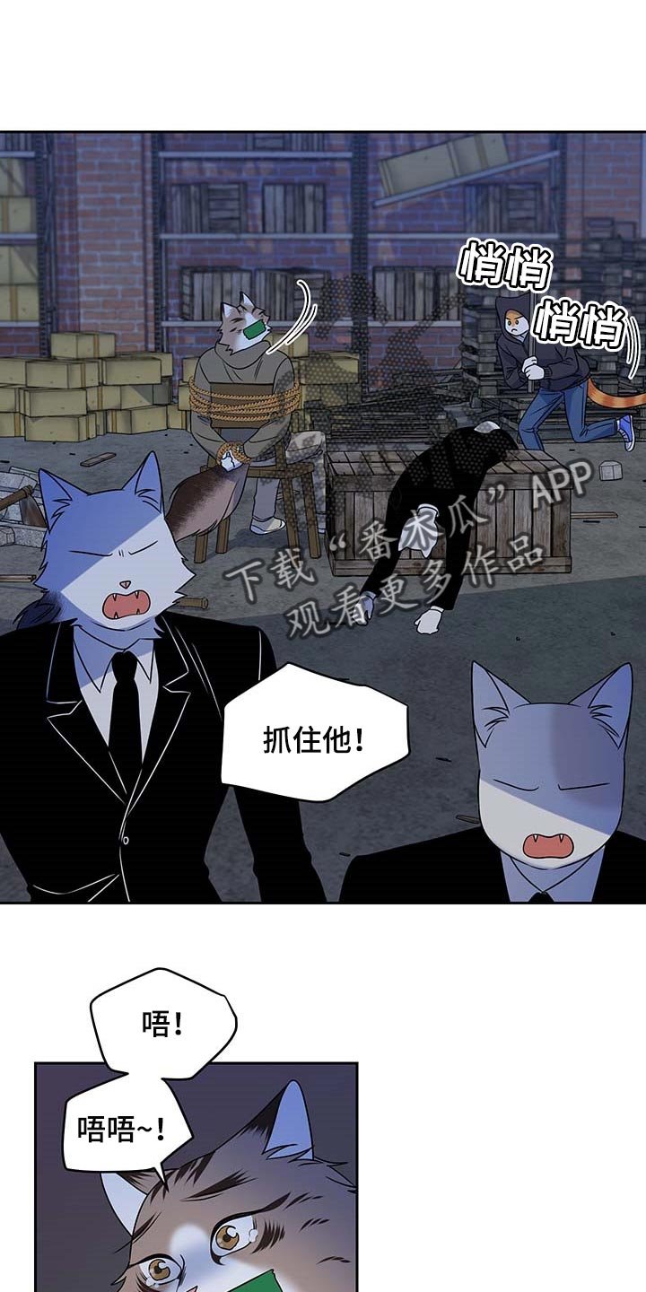 第37章：罪有应得