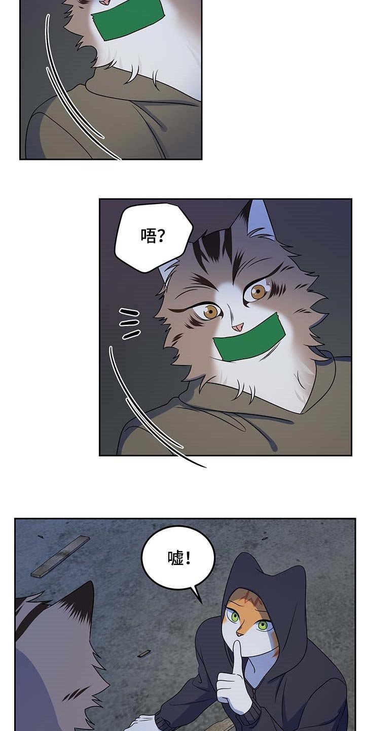 第37章：罪有应得