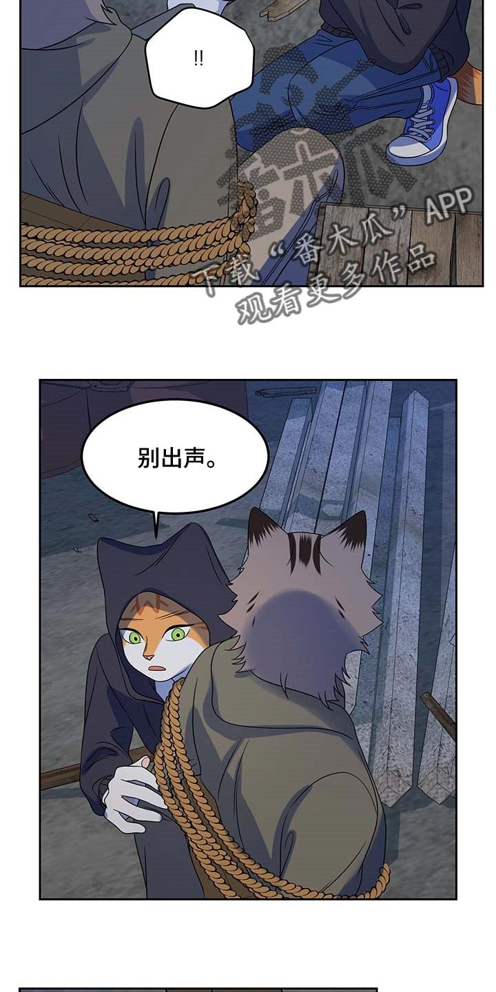 第37章：罪有应得