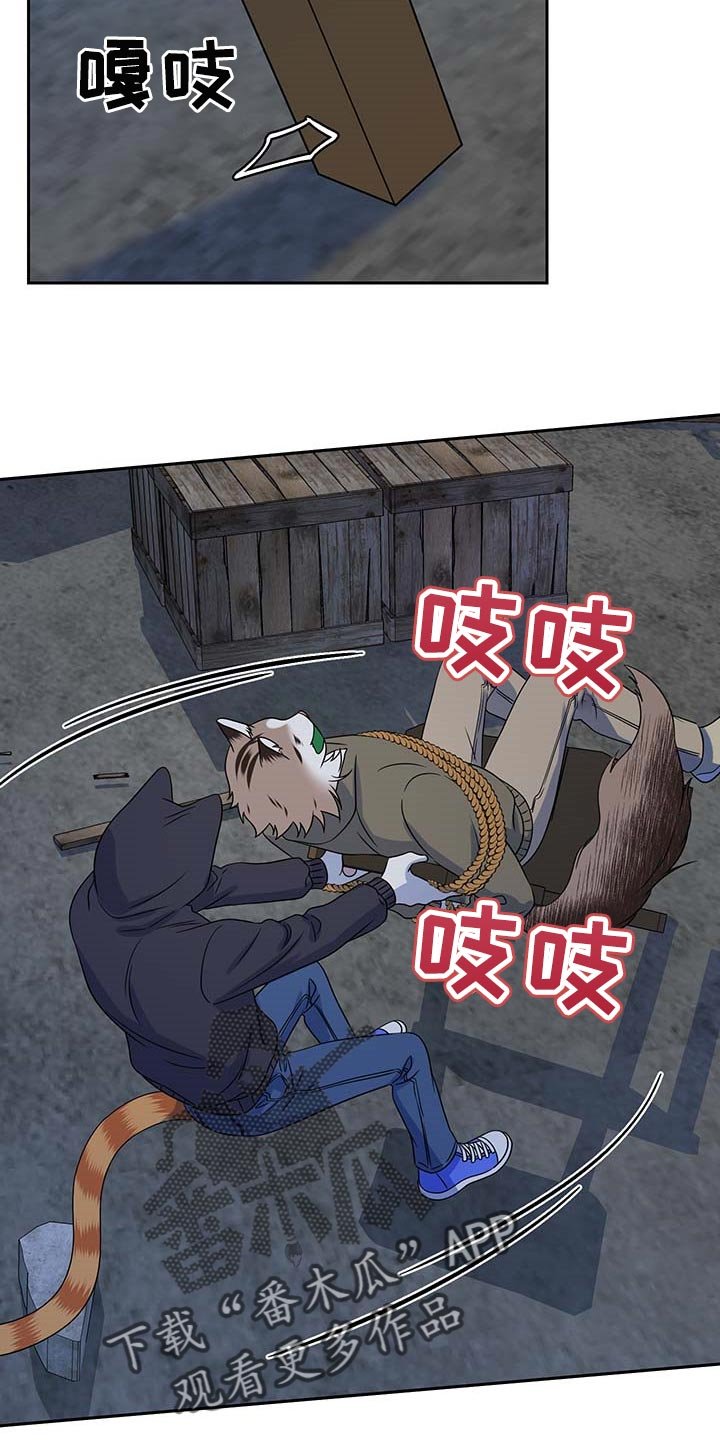 第37章：罪有应得
