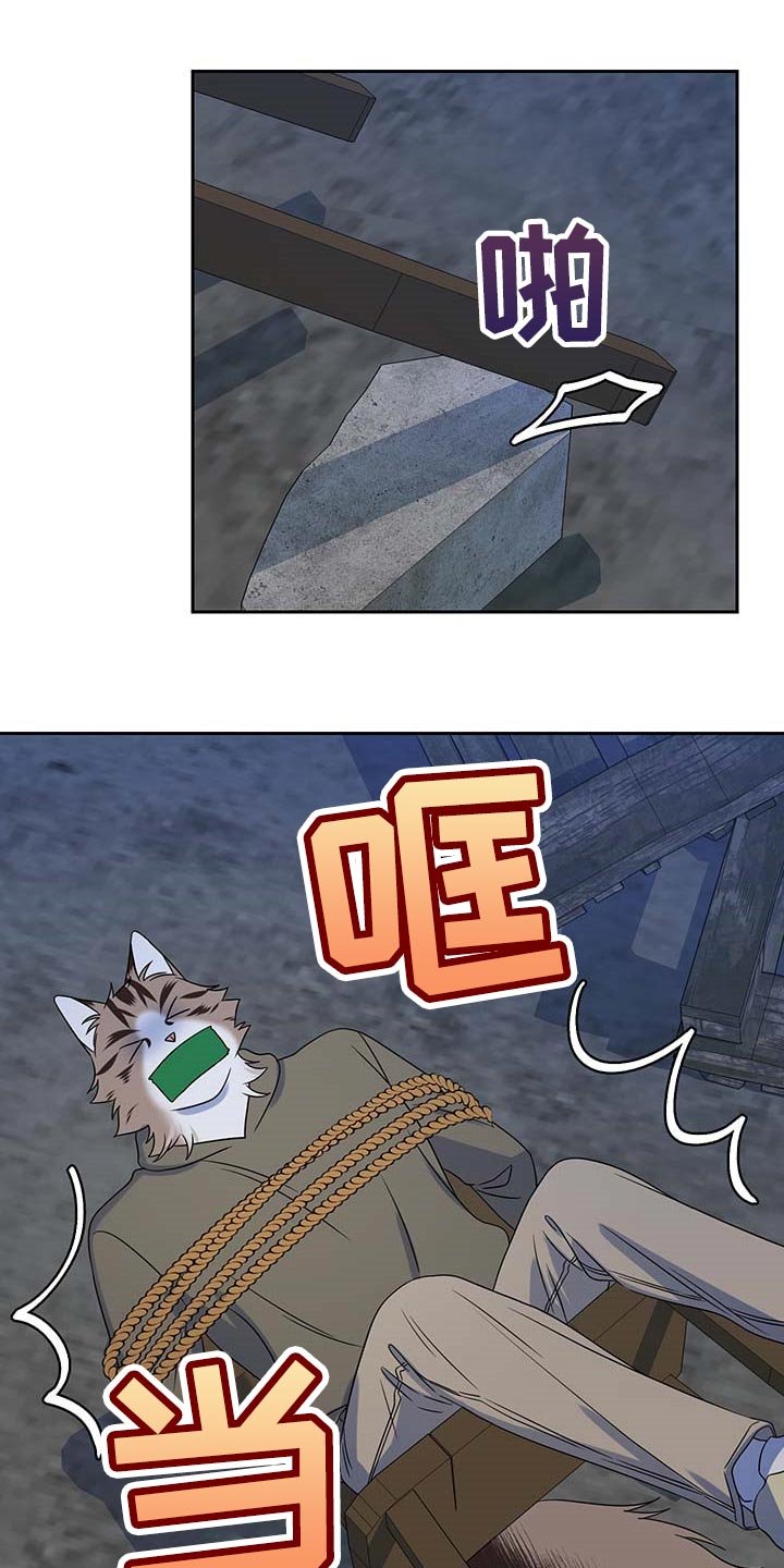 第37章：罪有应得