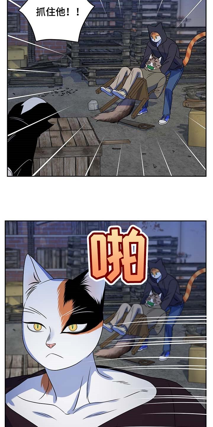 第37章：罪有应得