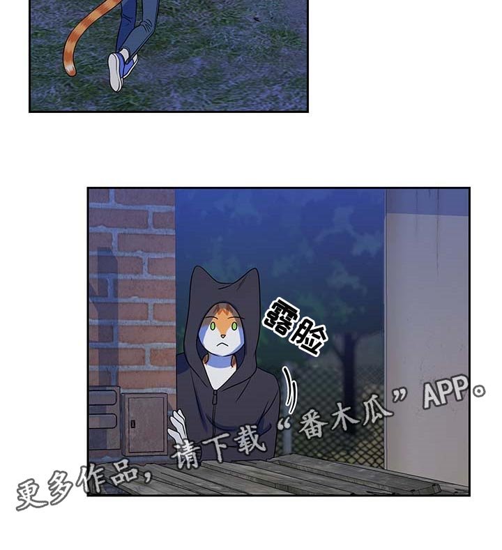 第37章：罪有应得