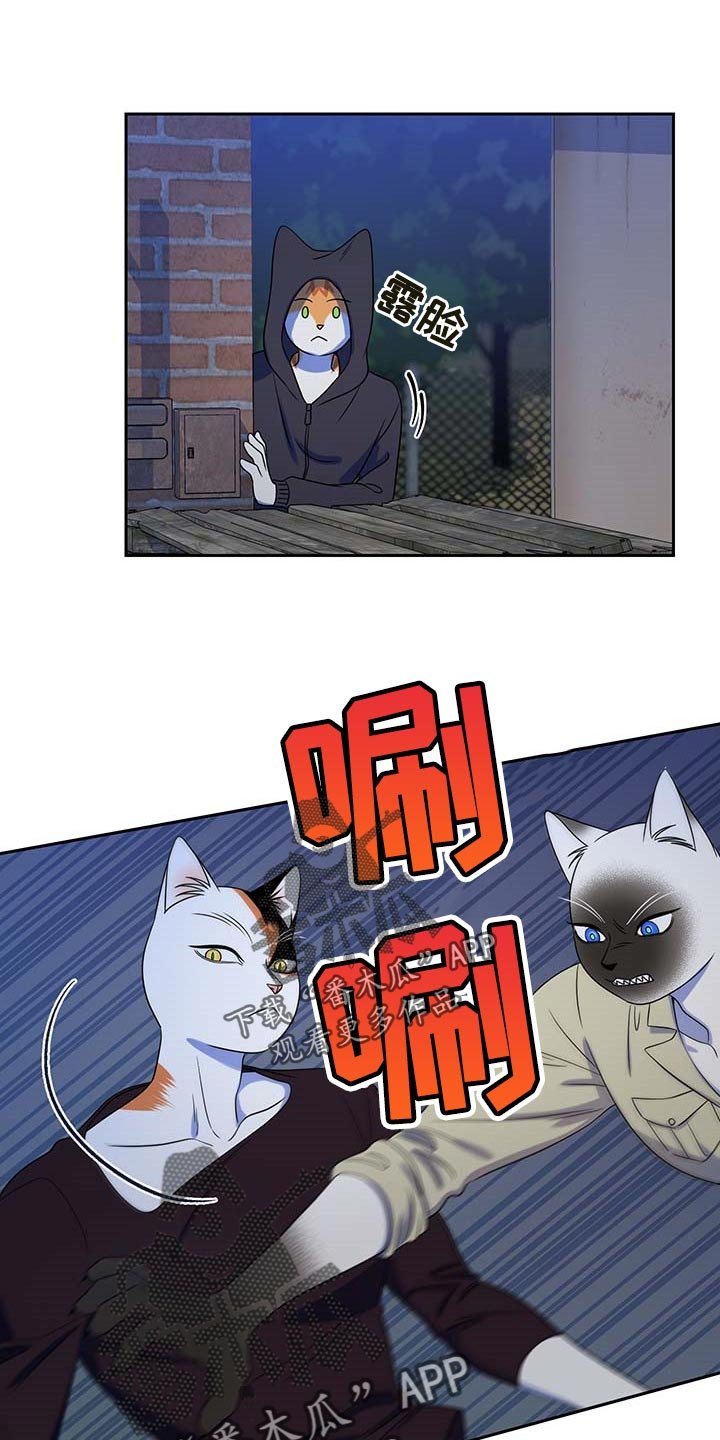 第38章：撤离