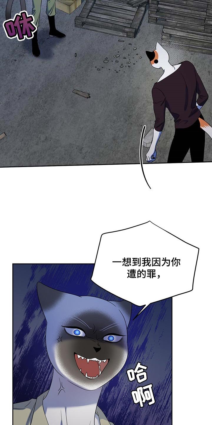 第38章：撤离
