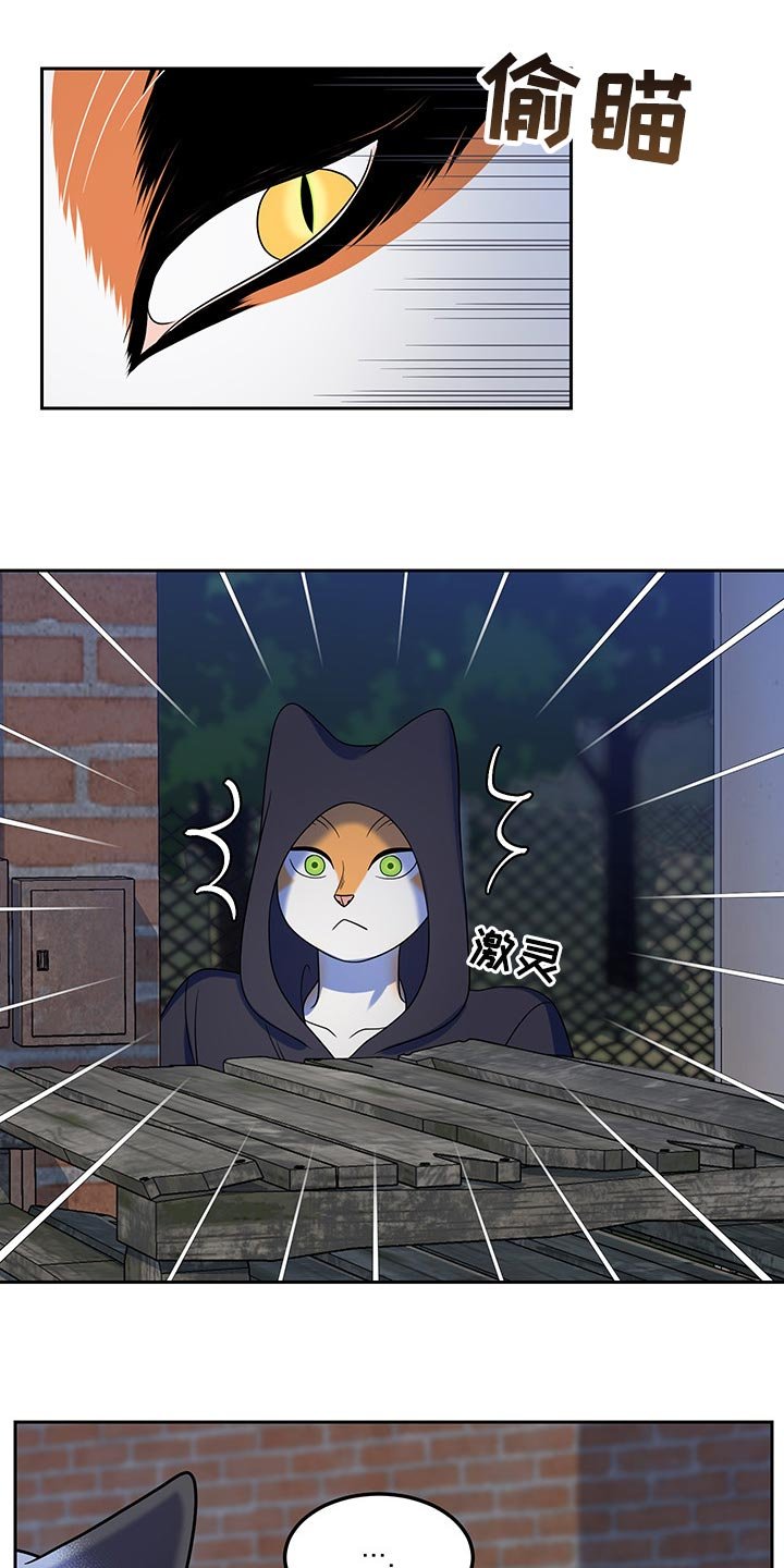第38章：撤离
