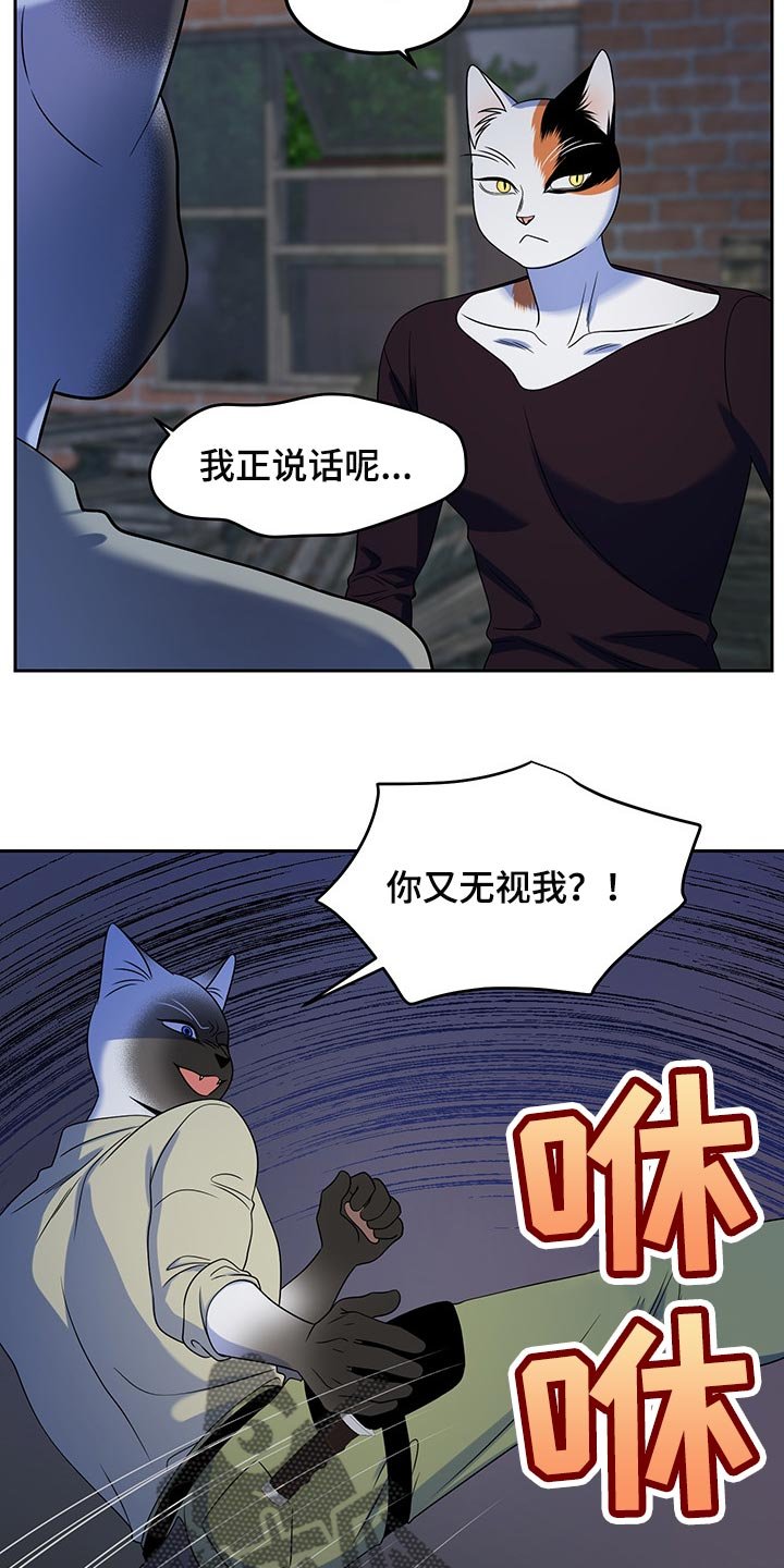 第38章：撤离