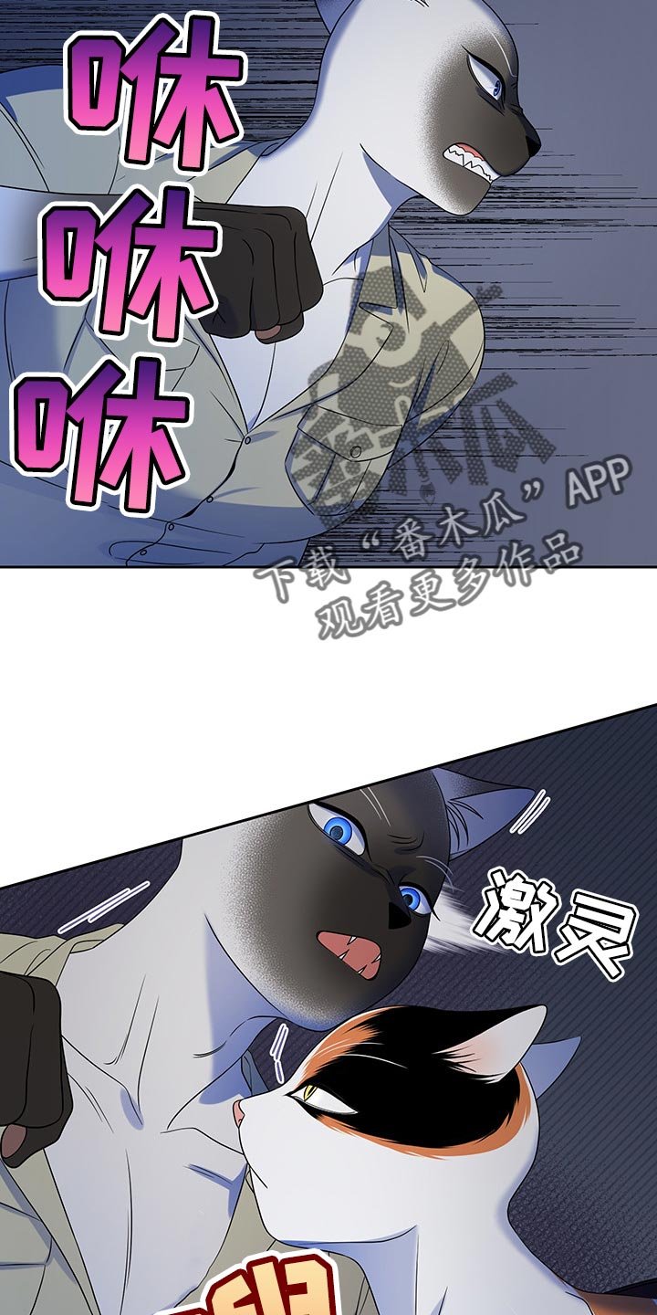 第38章：撤离
