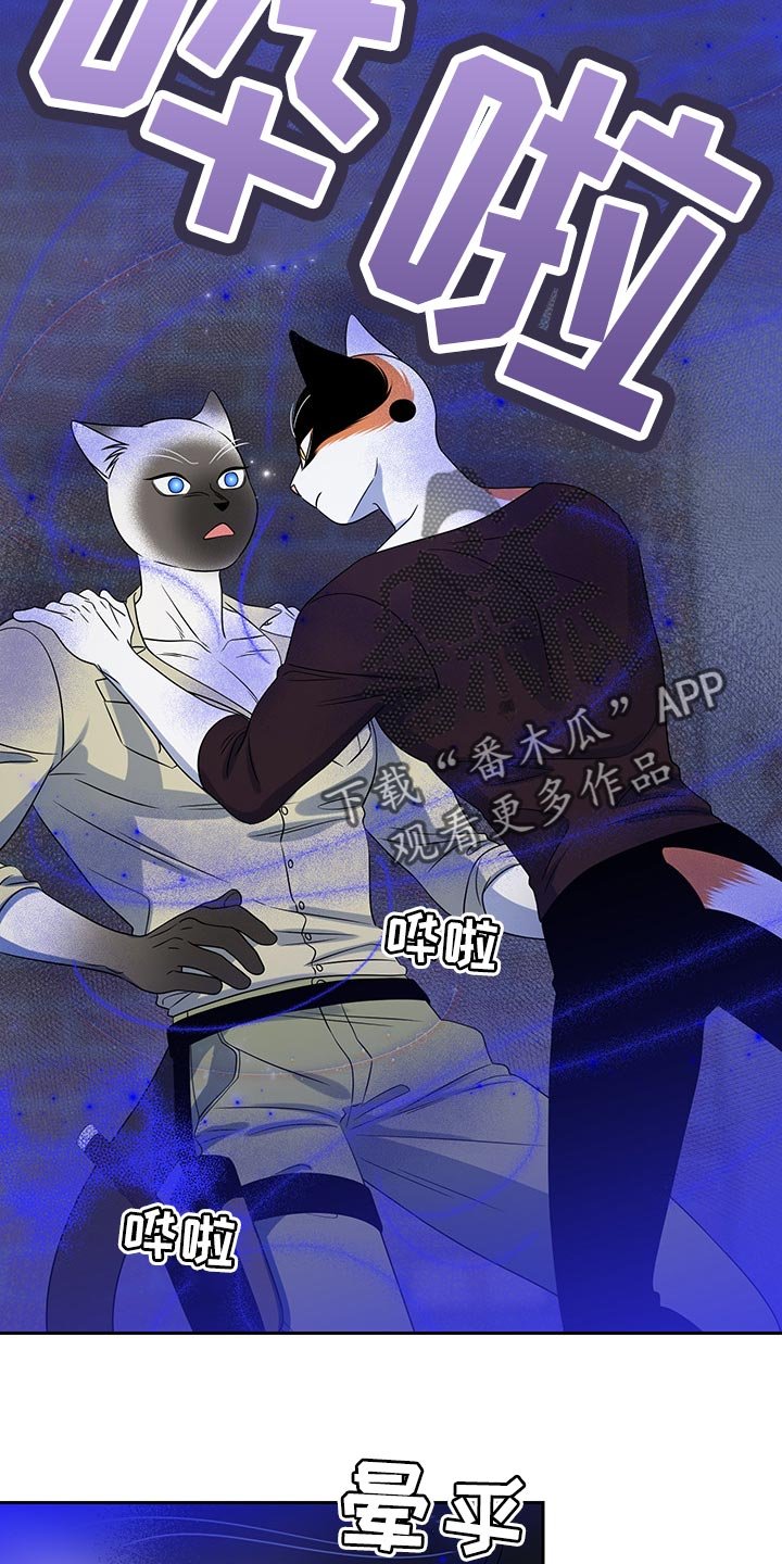 第38章：撤离