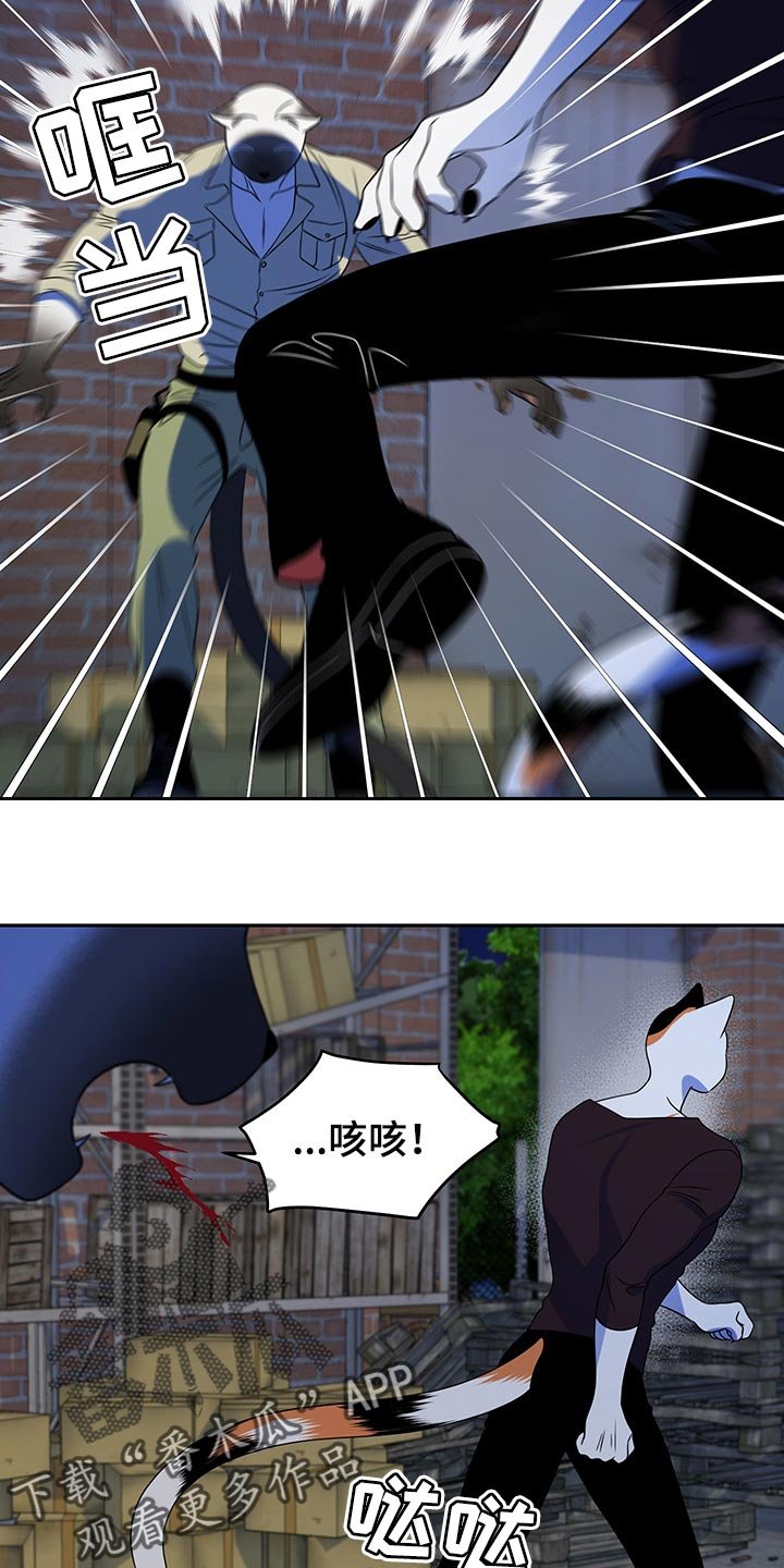 第38章：撤离