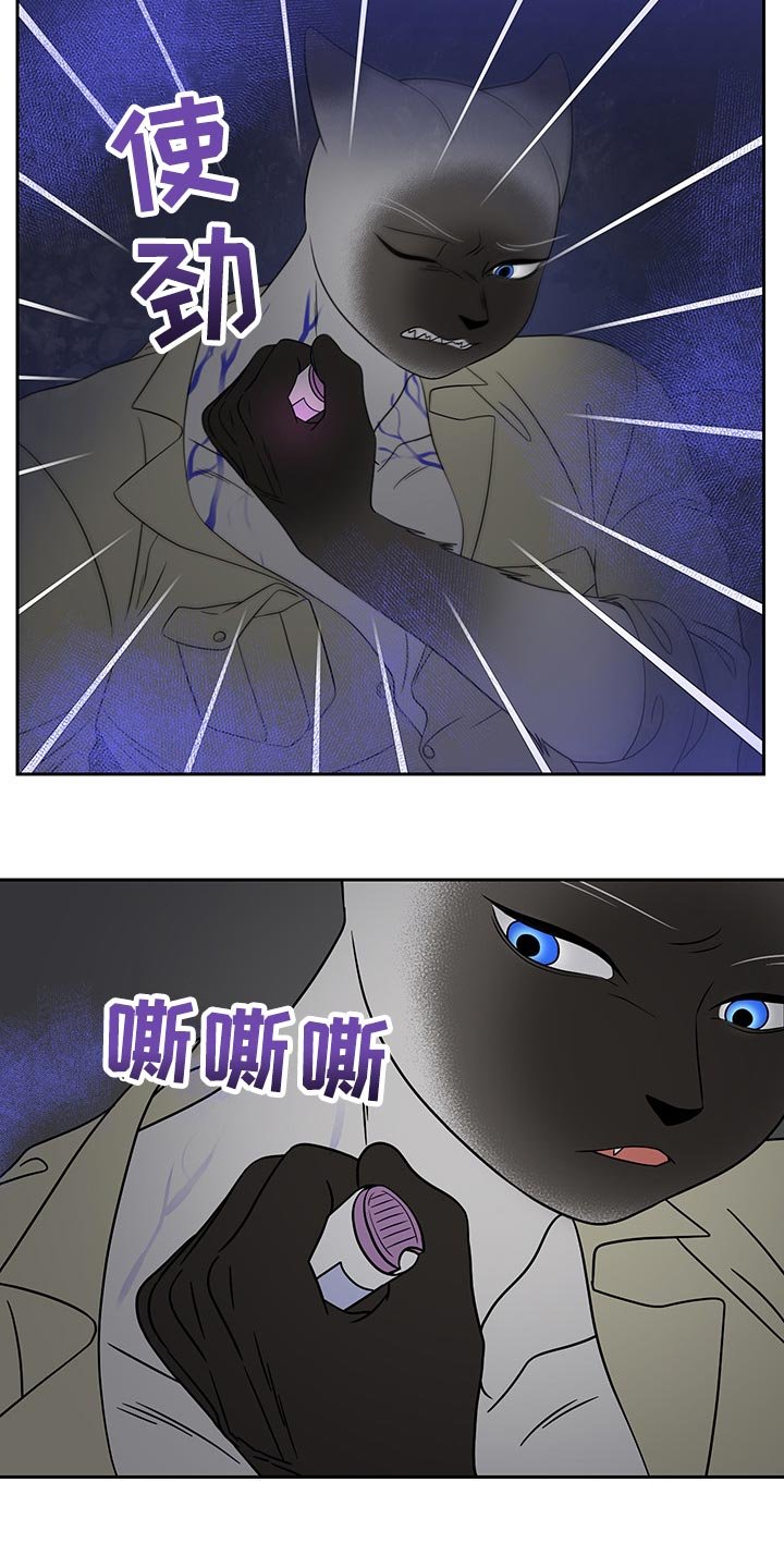 第39章：平凡的生活