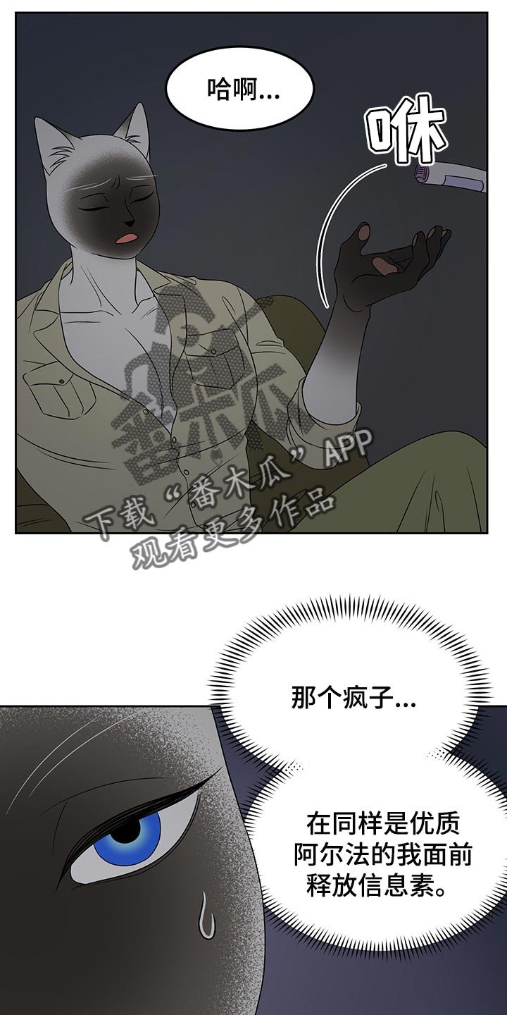 第39章：平凡的生活