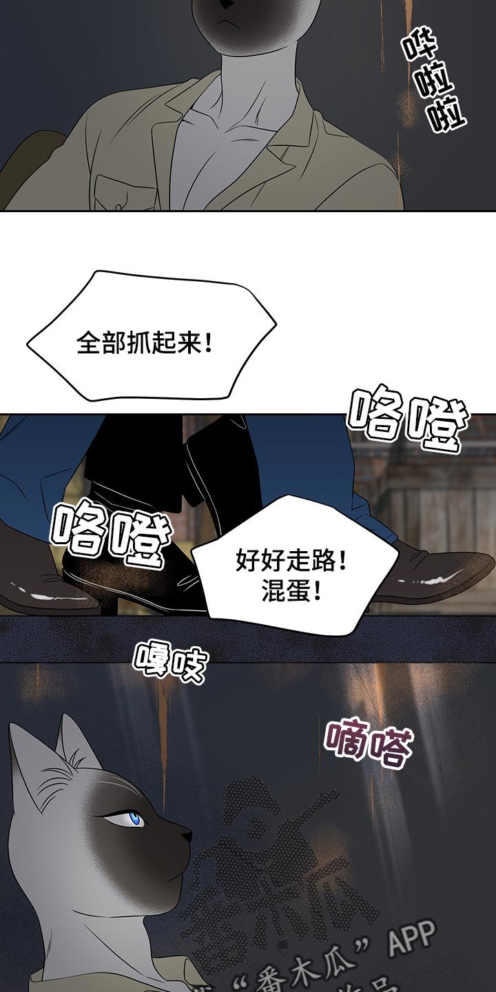 第39章：平凡的生活