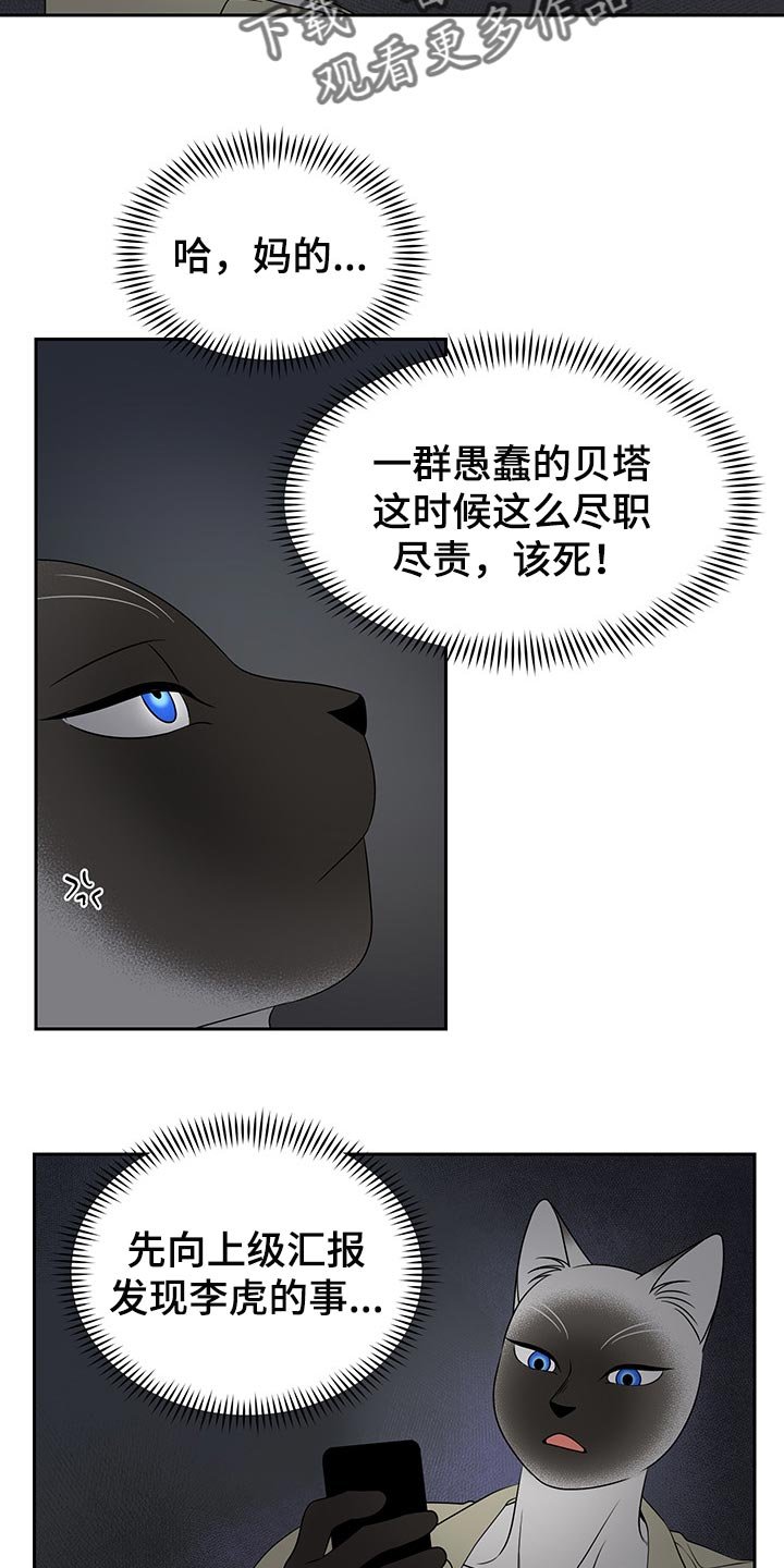第39章：平凡的生活