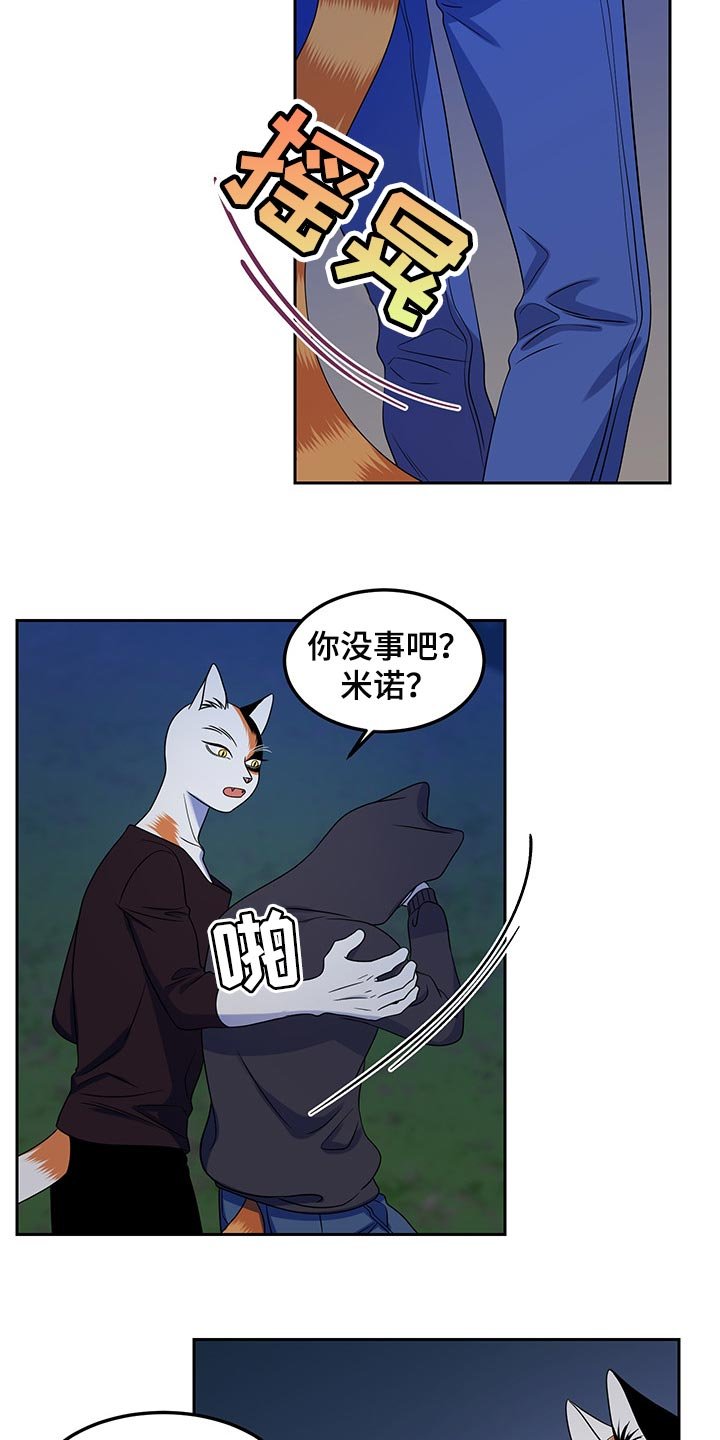 第39章：平凡的生活