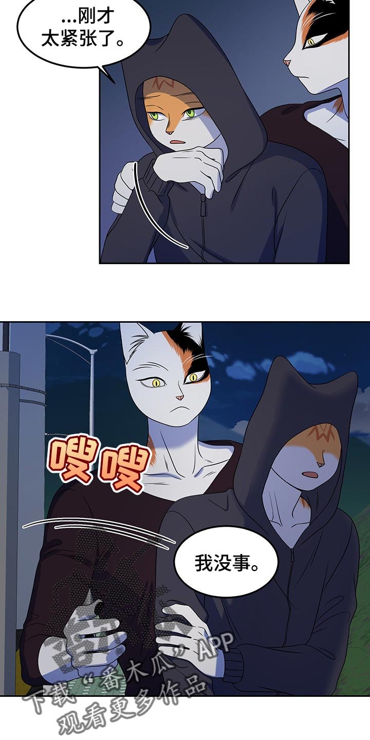 第39章：平凡的生活