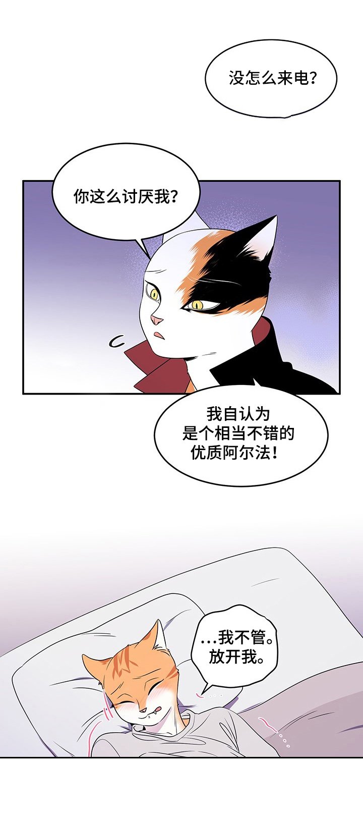 第4章：讨厌我