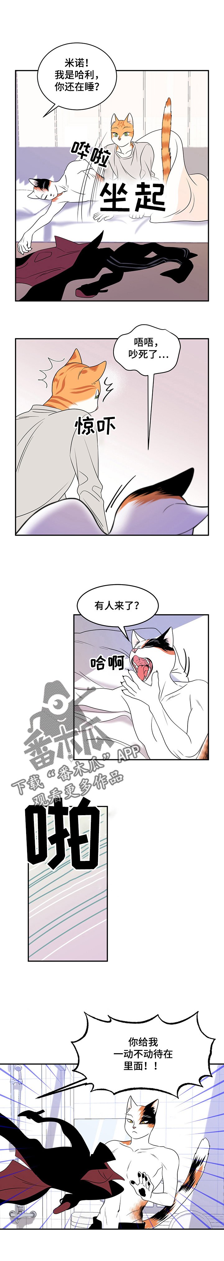 第4章：讨厌我