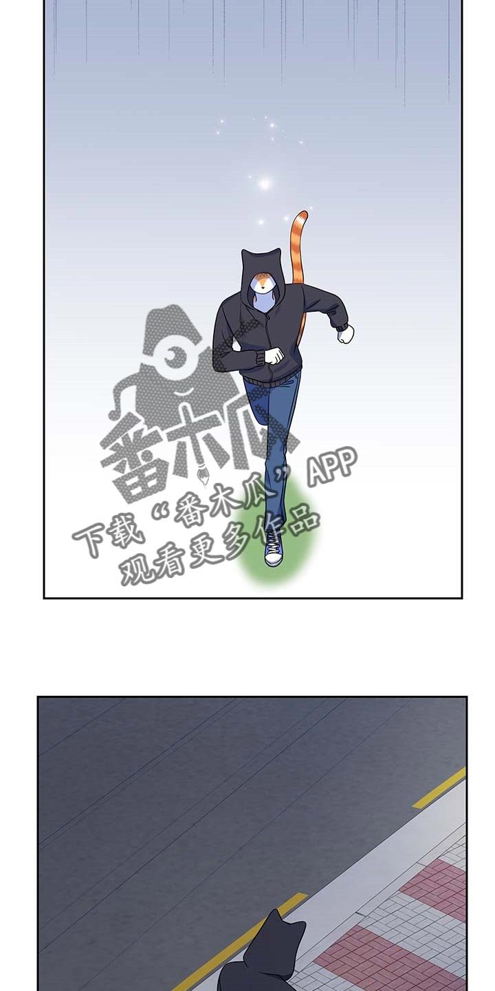第40章：重新回到平静的生活