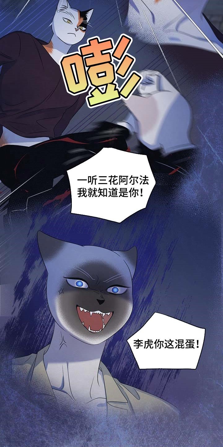 第40章：重新回到平静的生活