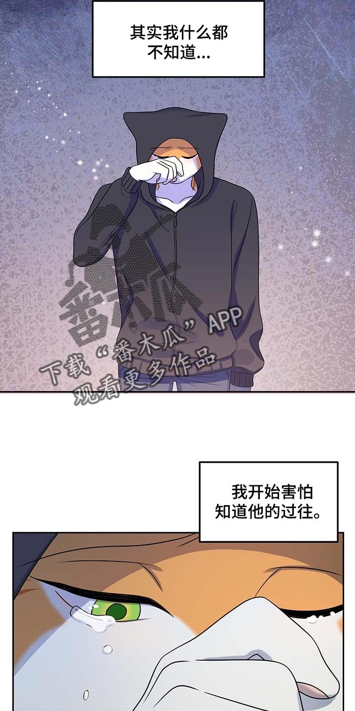 第40章：重新回到平静的生活