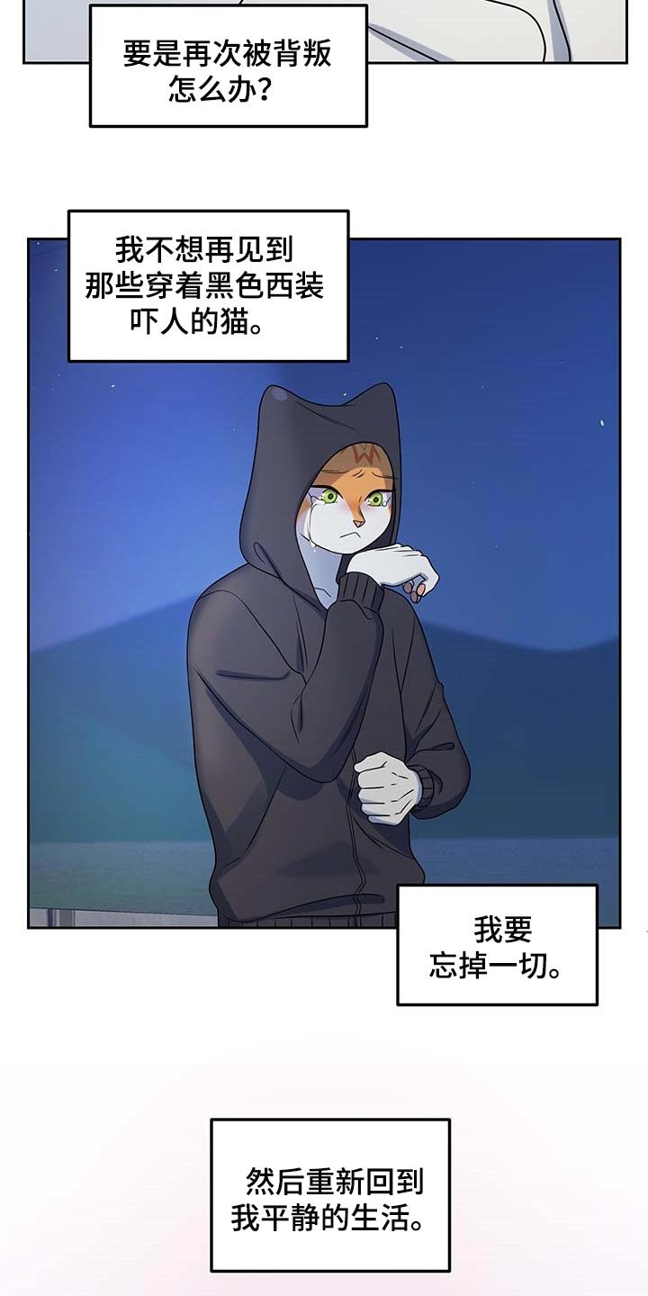 第40章：重新回到平静的生活