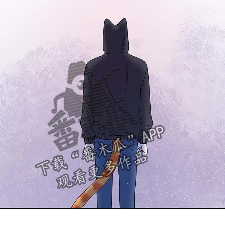 第40章：重新回到平静的生活