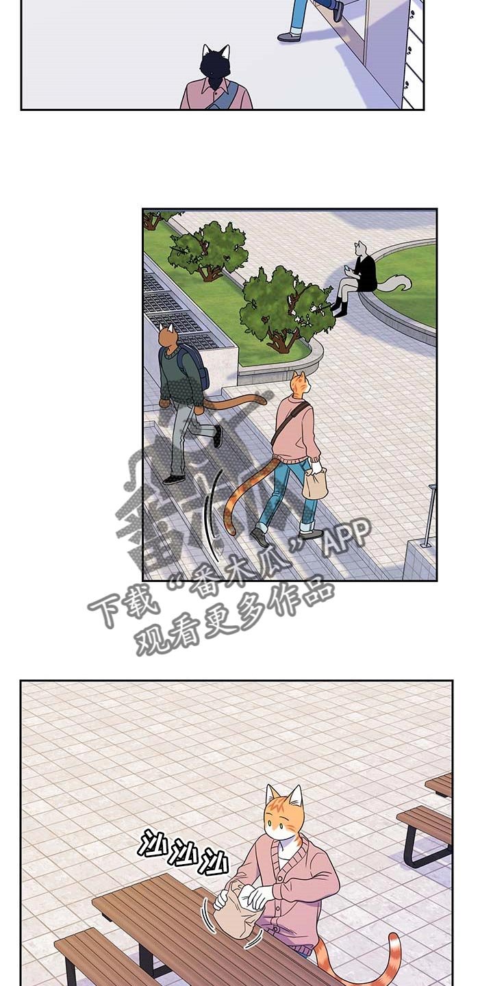 第40章：重新回到平静的生活