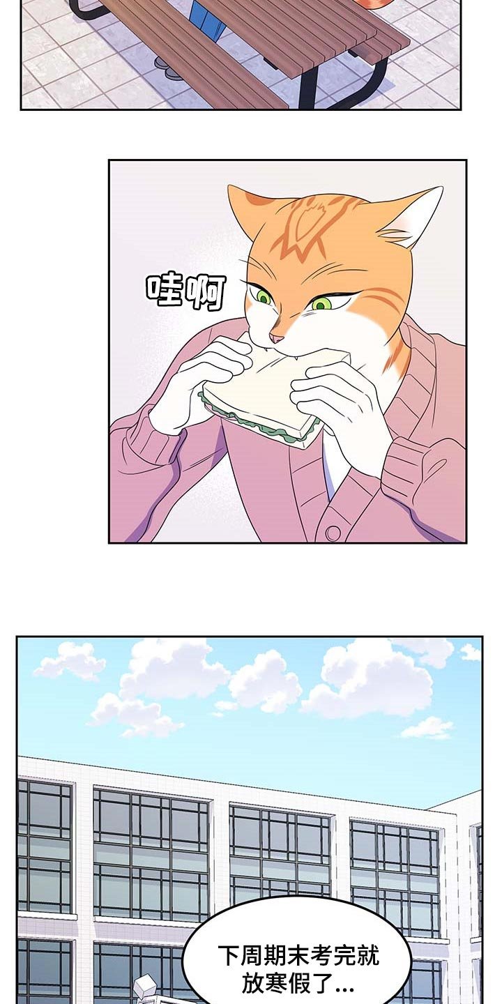 第40章：重新回到平静的生活