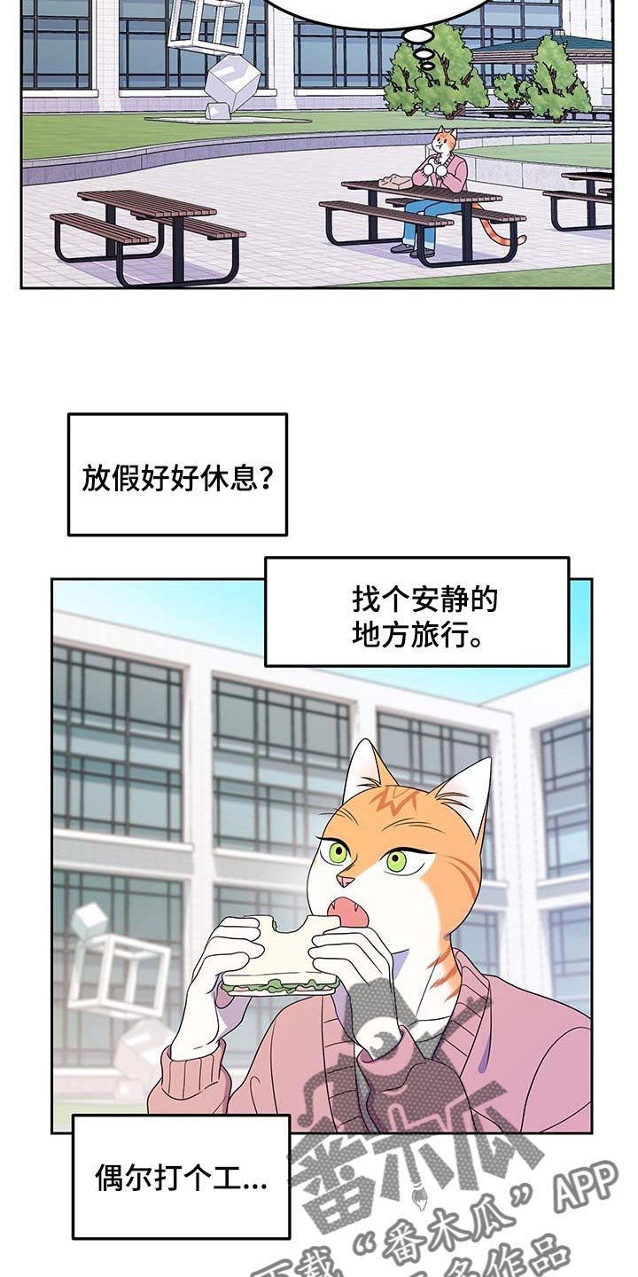 第40章：重新回到平静的生活