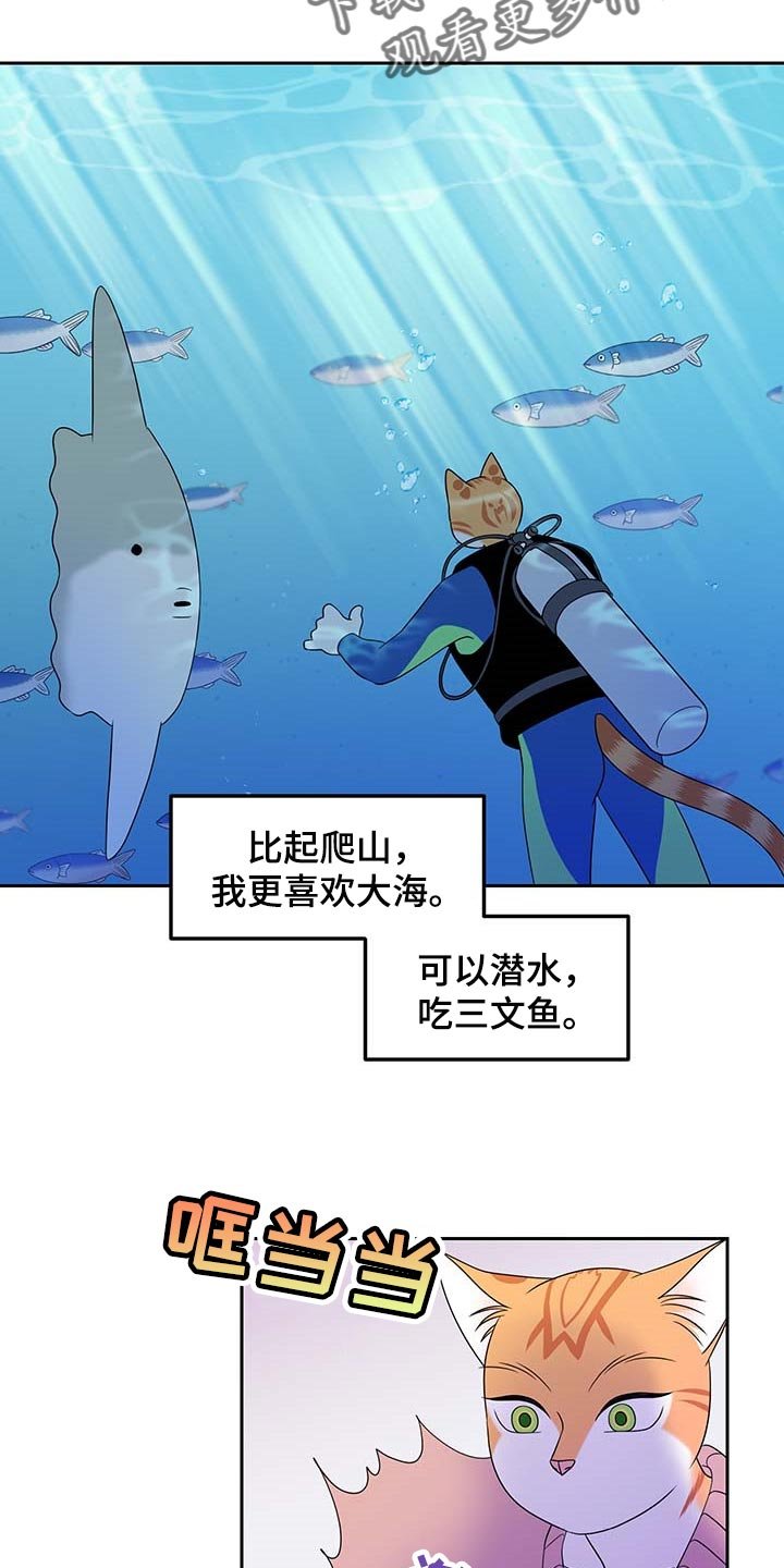 第40章：重新回到平静的生活